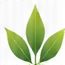 Foglia verde stilizzata che rappresenta ingredienti naturali